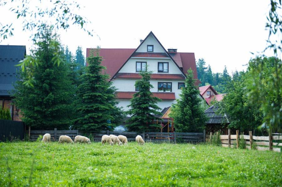 Osrodek Wczasowo-Kolonijny Gron Bed and Breakfast Biały Dunajec Eksteriør billede